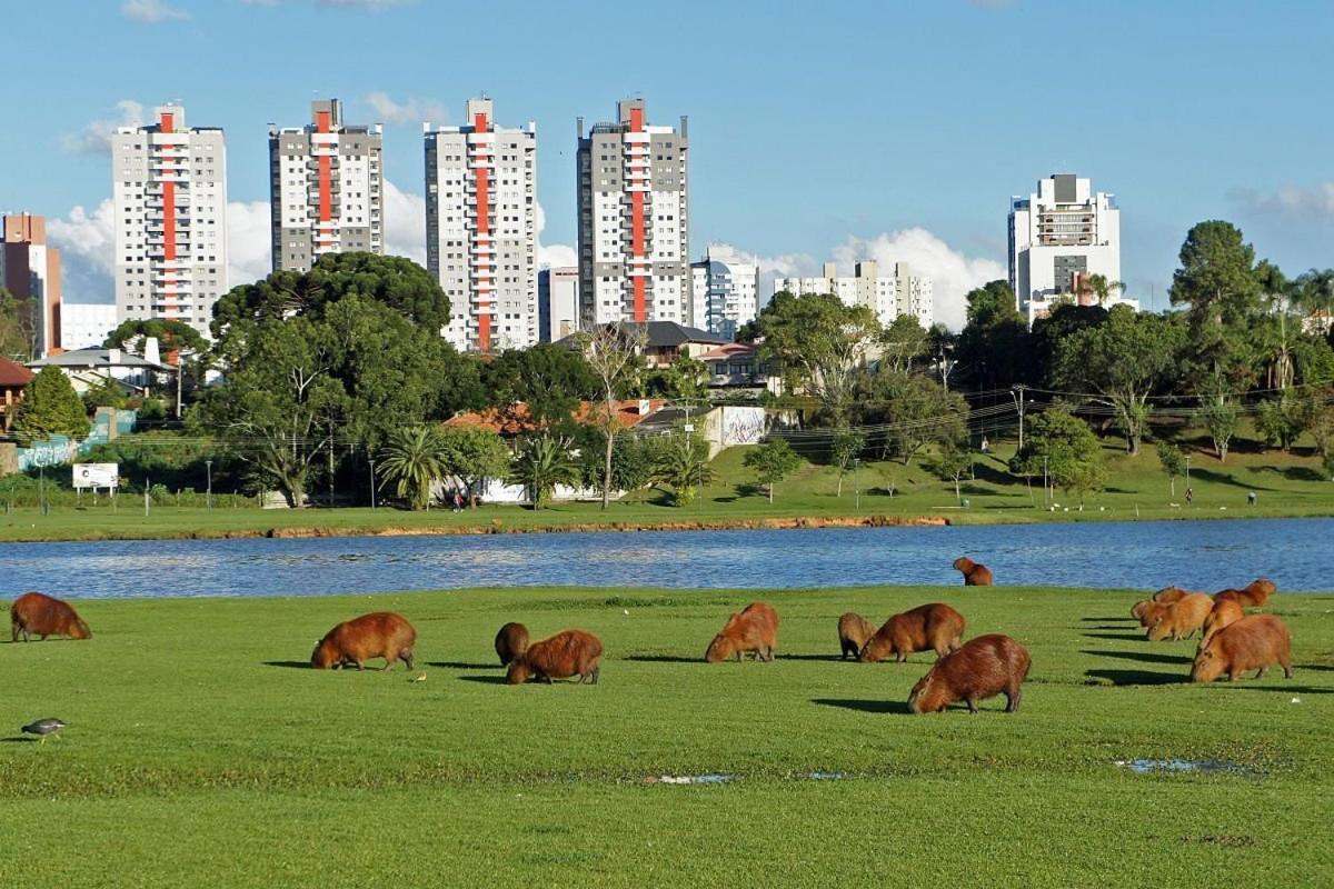 Predio Fantastico No Bairro Mais Requisitado De Curitiba Dış mekan fotoğraf
